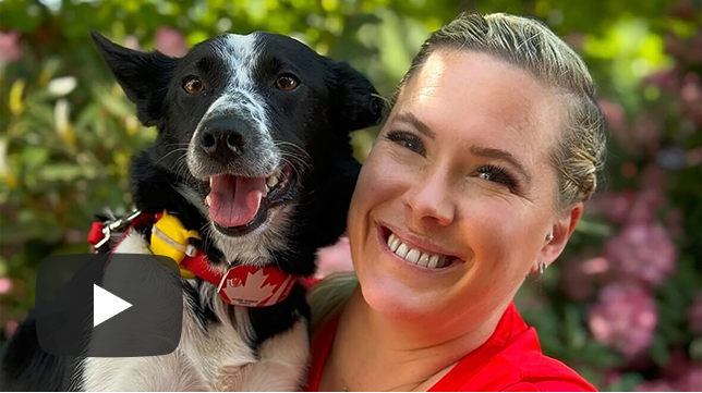 McCann Dog Training channel image