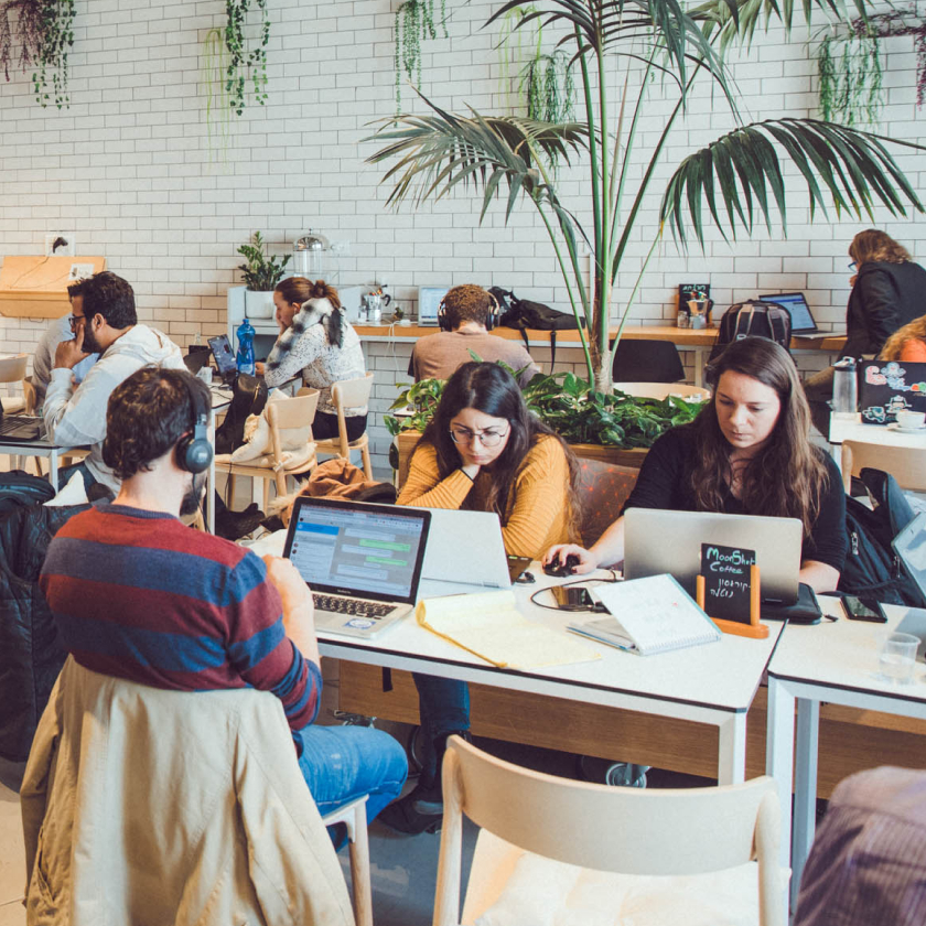 A cool cafe where people are totally into their work.